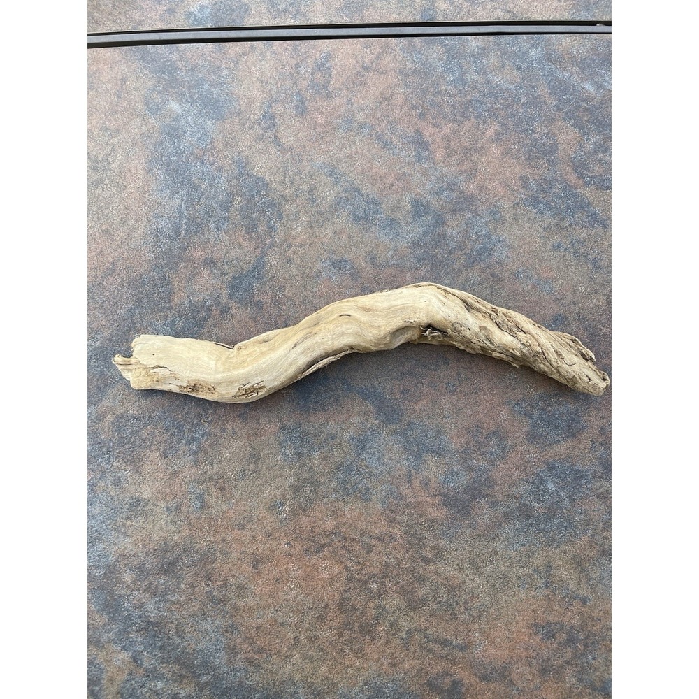 Natural Driftwood for Plants Terrarium Taxidermy Art Projects